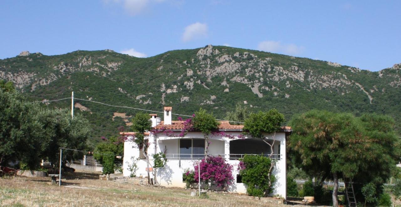 Ferienhaus In Ogliastra *