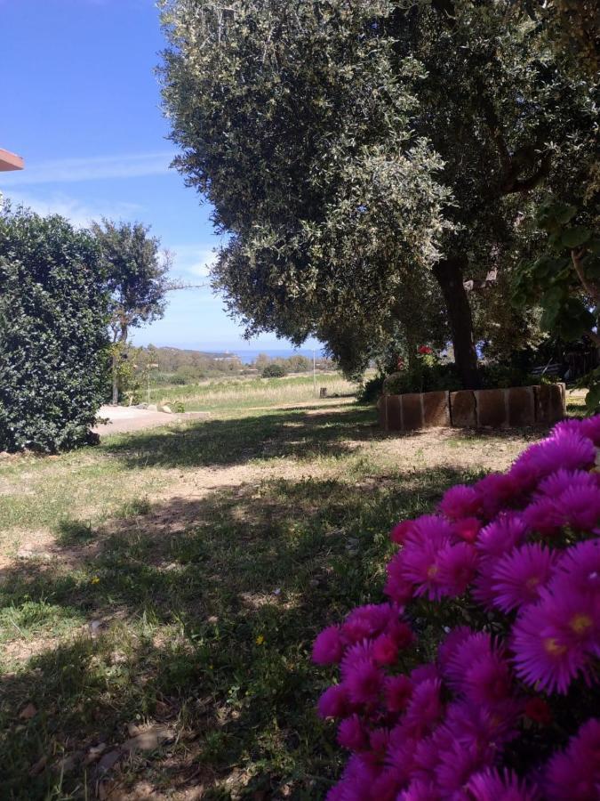 In Ogliastra * Tertenìa