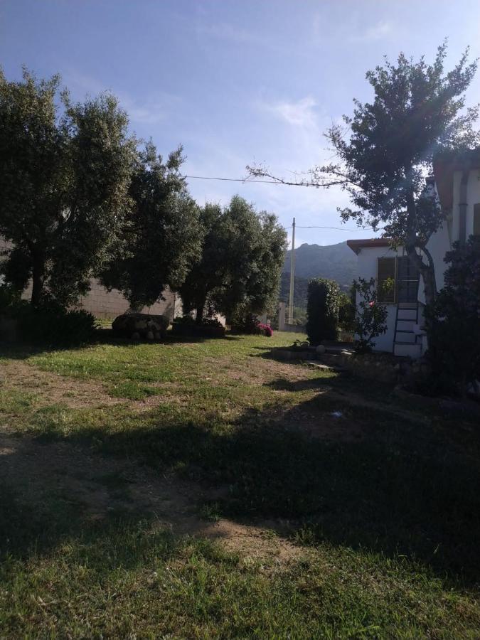 In Ogliastra Tertenìa