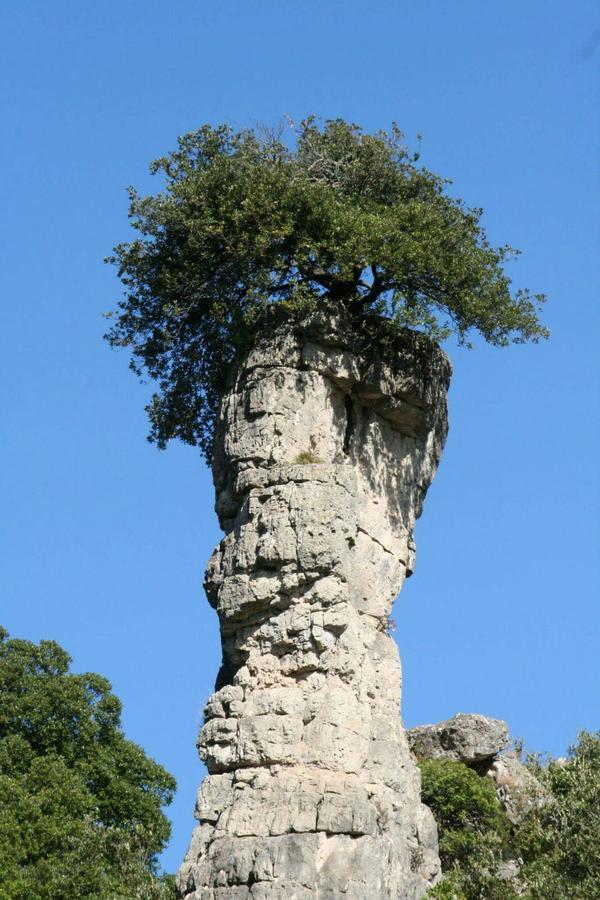 In Ogliastra Ferienhaus *