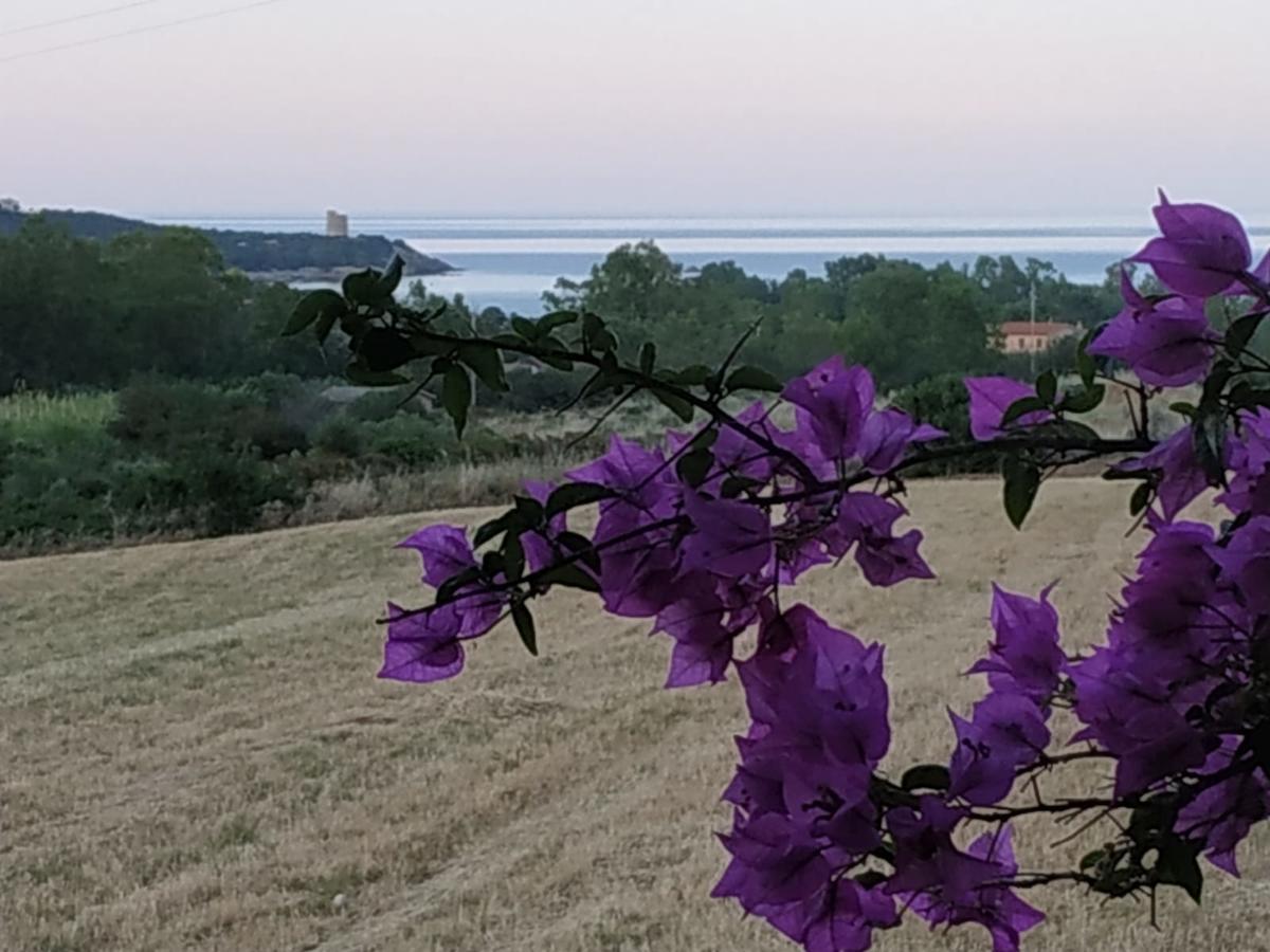 Ferienhaus In Ogliastra Tertenìa